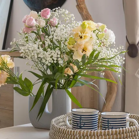 Apartman Studio Home