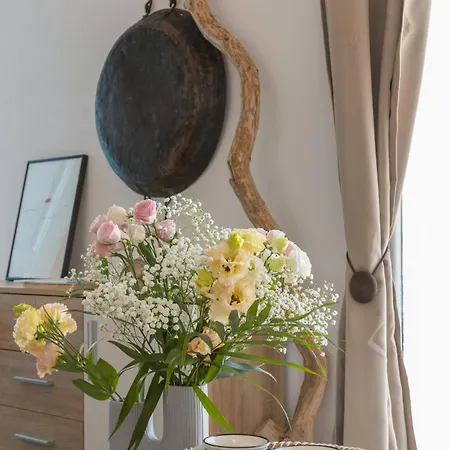 Apartman Studio Home Náusza