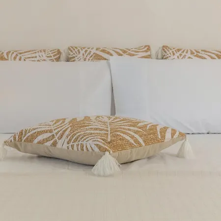 Studio Home Apartment Naousa (Paros)